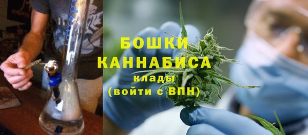 индика Инсар