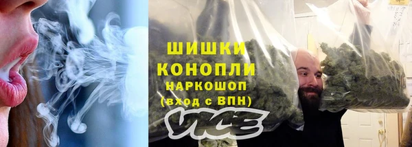сатива Иннополис