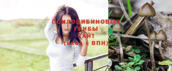 ECSTASY Каменногорск