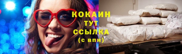 индика Инсар