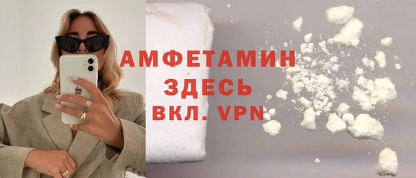 сатива Иннополис
