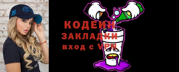 индика Инсар