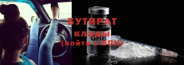 индика Инсар