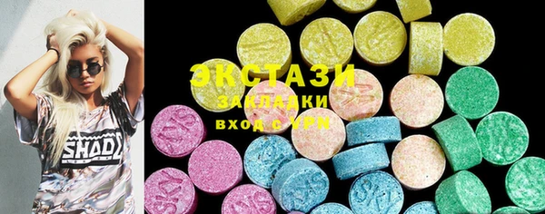 индика Инсар