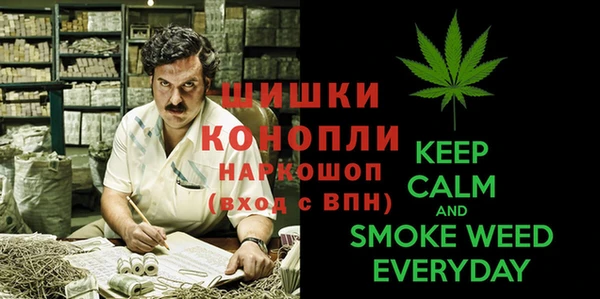 индика Инсар