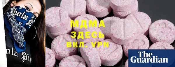 индика Инсар