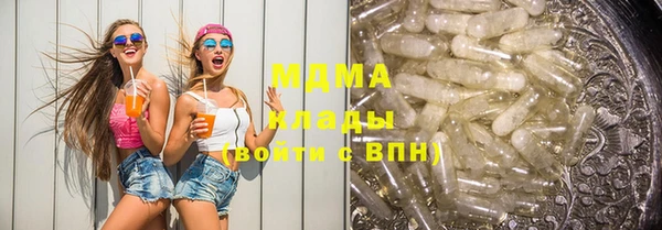 индика Инсар
