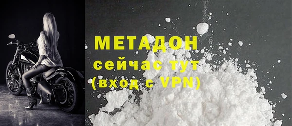индика Инсар